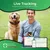 Collier GPS Chat/Chien : Localisation Temps Réel, Sans Abonnement & Étanche