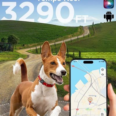 GPS-Halsband Katze/Hund, Echtzeit, wasserdicht, ohne Abo