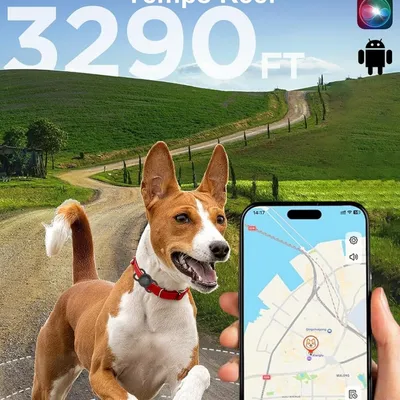 Collier GPS Chat/Chien : Localisation Temps Réel, Sans Abonnement & Étanche