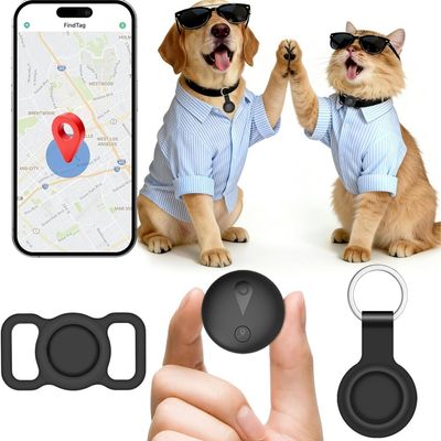 Collier GPS Chat/Chien : Localisation Temps Réel, Sans Abonnement & Étanche