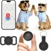 Collier GPS Chat/Chien : Localisation Temps Réel, Sans Abonnement & Étanche