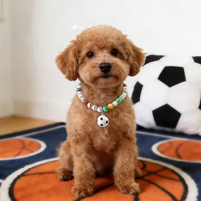 MCBOSON Collier de football pour chats et chiens thème Coupe du Monde MCBOSON Collier de football pour chats et chiens thème Coupe du Monde