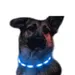Wiederaufladbares LED-Hundehalsband Blau USB-C
