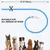 Collier LED Chien Bleu Rechargeable USB-C, 3 Modes, Tous Tailles