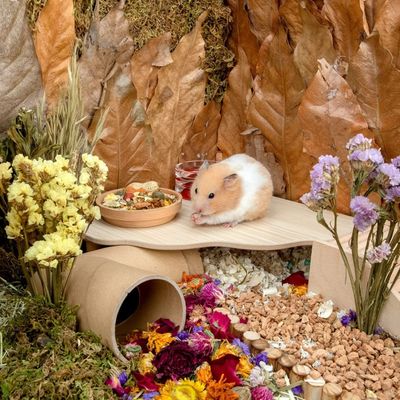 FurryFusion Support en forme d'onde pour cage de hamster