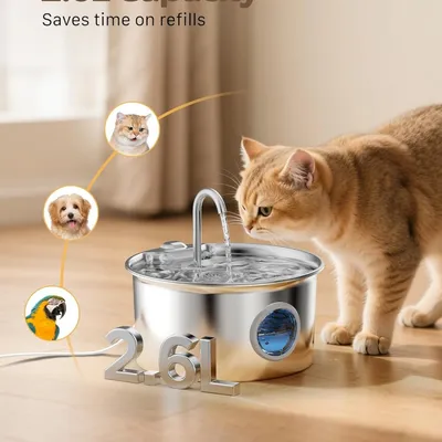 MCBOSON Fontaine à Eau Chat Inox 2,2L : Silencieuse, Filtration 4 Étapes