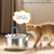 MCBOSON Fontaine à Eau Chat Inox 2,2L : Silencieuse, Filtration 4 Étapes