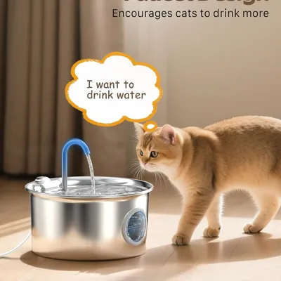 MCBOSON Fontaine à Eau Chat Inox 2,2L : Silencieuse, Filtration 4 Étapes