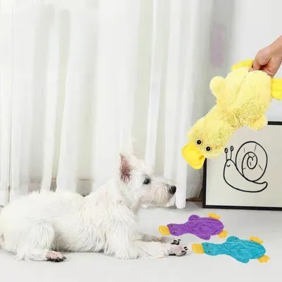 MCBOSON Canard à Croquer pour Chiens : Sans Remplissage, Sonore