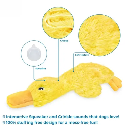 MCBOSON Canard à Croquer pour Chiens : Sans Remplissage, Sonore