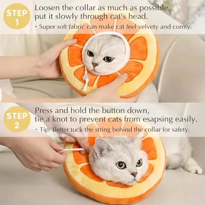 FurryFusion Verstellbares konisches Halsband für Katzen