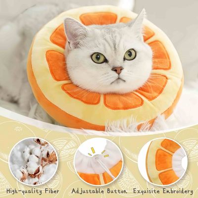 FurryFusion Collier conique réglable pour chat