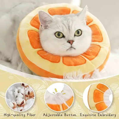 FurryFusion Verstellbares konisches Halsband für Katzen