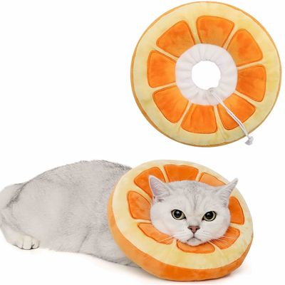 FurryFusion Verstellbares konisches Halsband für Katzen