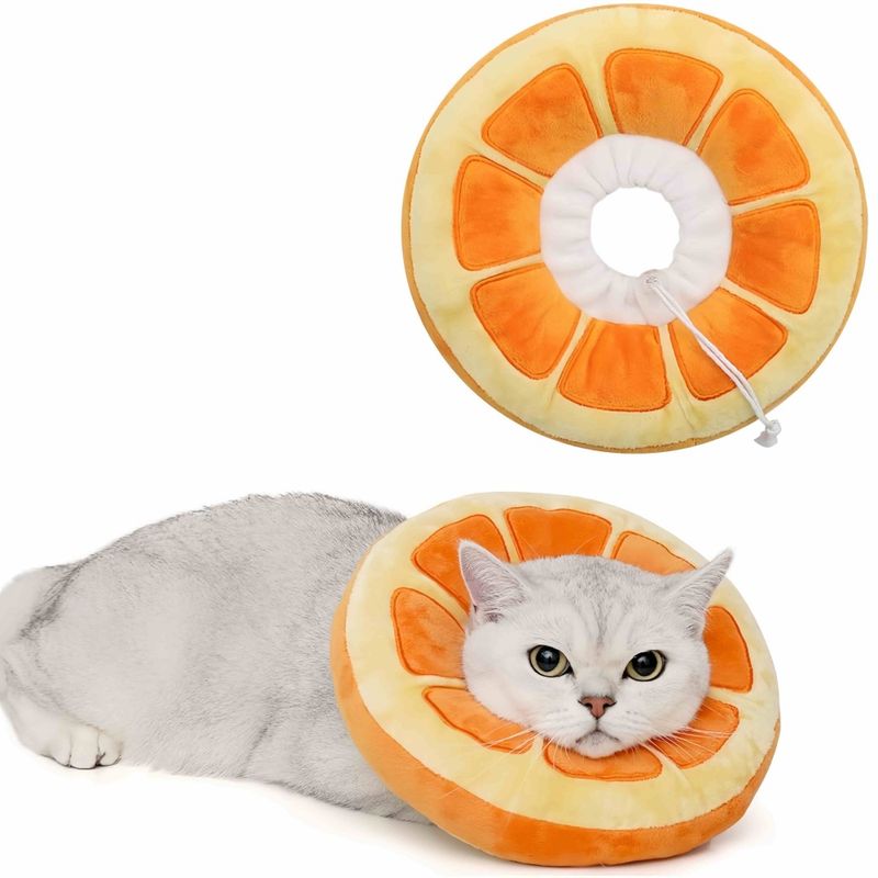 FurryFusion Verstellbares konisches Halsband für Katzen