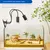 FurryFusion Support pour lampe de bronzage pour tortues FurryFusion Support pour lampe de bronzage pour tortues