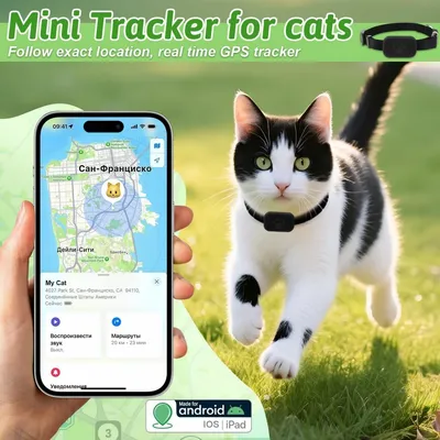 Collier GPS Chat sans Abonnement -  Temps Réel, Étanche IP67