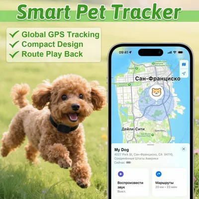 Collier GPS Chat sans Abonnement -  Temps Réel, Étanche IP67