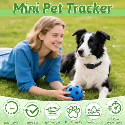 Collier GPS Chat sans Abonnement -  Temps Réel, Étanche IP67