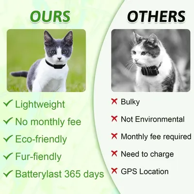 Collier GPS Chat sans Abonnement -  Temps Réel, Étanche IP67