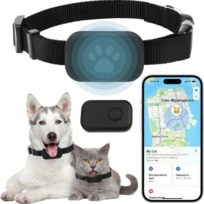 Collier GPS Chat sans Abonnement -  Temps Réel, Étanche IP67