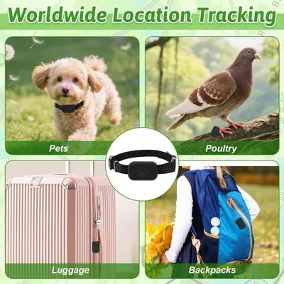 Collier GPS Chat sans Abonnement -  Temps Réel, Étanche IP67