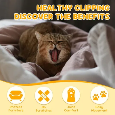 MCBOSON Coupe-Ongles Animaux : Pour Chat, Chien & Lapin