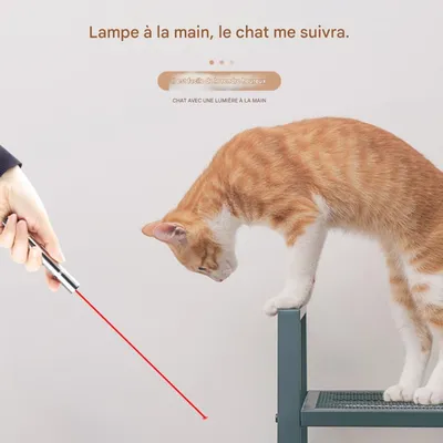 FurryFusion Baton laser multifonctionnel en métal pour chats