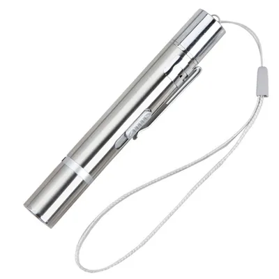 FurryFusion Baton laser multifonctionnel en métal pour chats