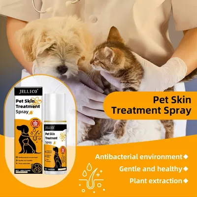 FurryFusion Spray de soin pour la peau des animaux de compagnie