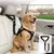 FurryFusion Ceinture de sécurité pour animaux de compagnie