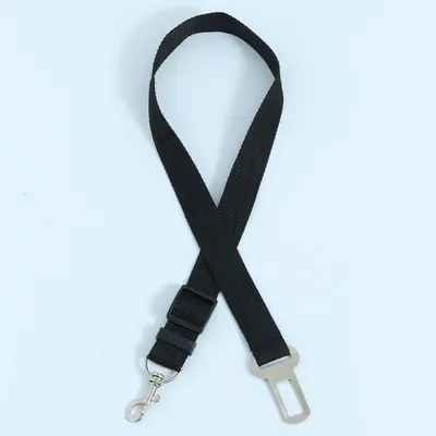 FurryFusion Ceinture de sécurité pour animaux de compagnie