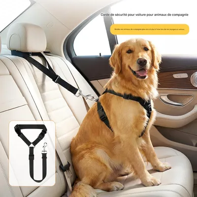FurryFusion Ceinture de sécurité pour animaux de compagnie