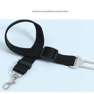 FurryFusion Ceinture de sécurité pour animaux de compagnie
