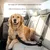 FurryFusion Ceinture de sécurité pour animaux de compagnie