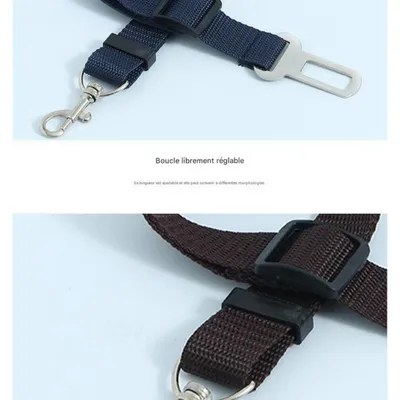 FurryFusion Ceinture de sécurité pour animaux de compagnie
