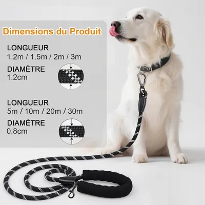 Longe Dressage Chien - Réfléchissante, Tous Chiens
