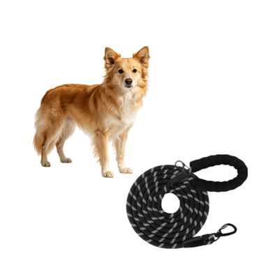 MCBOSON (Réfléchissante Tous Chiens) Longe Dressage Chien