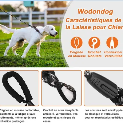 Longe Dressage Chien - Réfléchissante, Tous Chiens