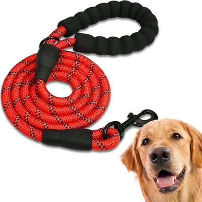 Laisse de Dressage Réfléchissante 2.2m Rouge