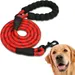 Laisse de Dressage Réfléchissante 2.2m Rouge