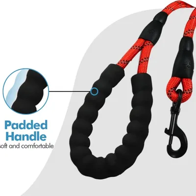 Laisse de Dressage Réfléchissante 2.2m Rouge