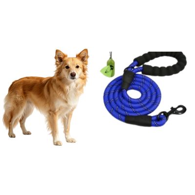MCBOSON Bleu (Poignée Rembourrée Réfléchissante) Laisse Chien Corde