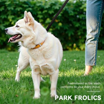 MCBOSON (Réglable Multifonctionnelle 3m) Laisse Chien