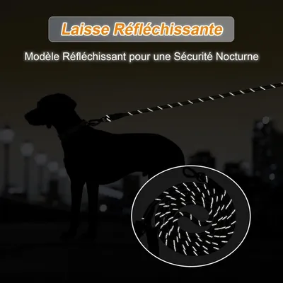 MCBOSON Laisse de Dressage pour Chiens RéfléchissanteCrochet Verrouillable