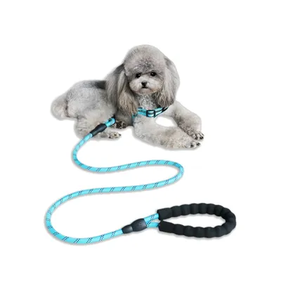 MCBOSON Laisse de Dressage pour Chiens RéfléchissanteCrochet Verrouillable