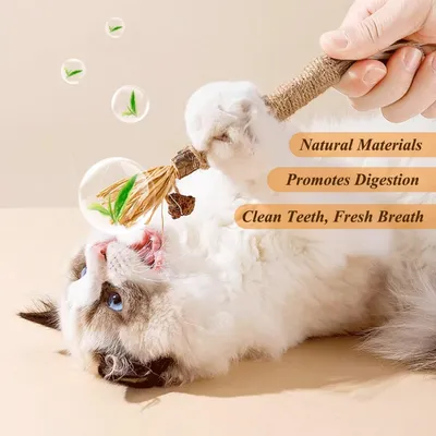 Lot de 3 Bâtonnets Herbe à Chat - Hygiène Dentaire