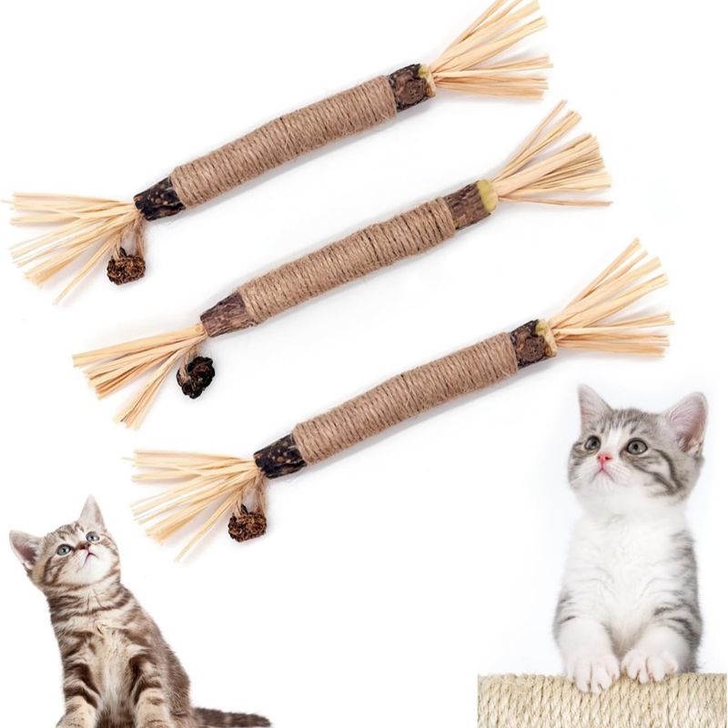 3er-Pack Katzenminze-Stäbchen – Zahnpflege