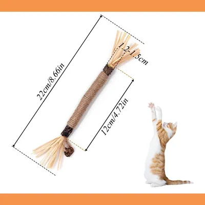 Lot de 3 Bâtonnets Herbe à Chat - Hygiène Dentaire