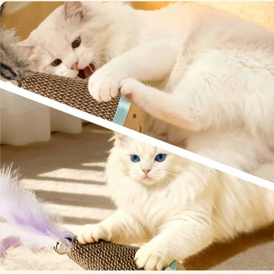 FurryFusion Oursin à clochettes pour chat